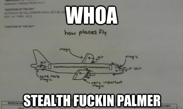 Whoa stealth fuckin palmer  magical aerodynamic plane