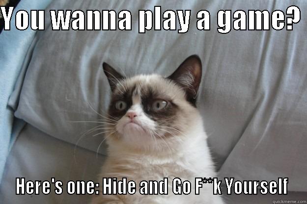 YOU WANNA PLAY A GAME?  HERE'S ONE: HIDE AND GO F**K YOURSELF Grumpy Cat