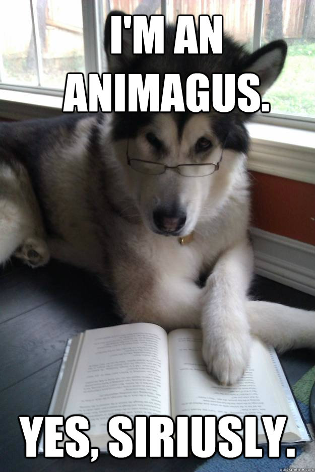 I'm an animagus.  Yes, siriusly.  Condescending Literary Pun Dog