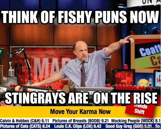 Think of fishy puns now Stingrays are  on the rise  Mad Karma with Jim Cramer