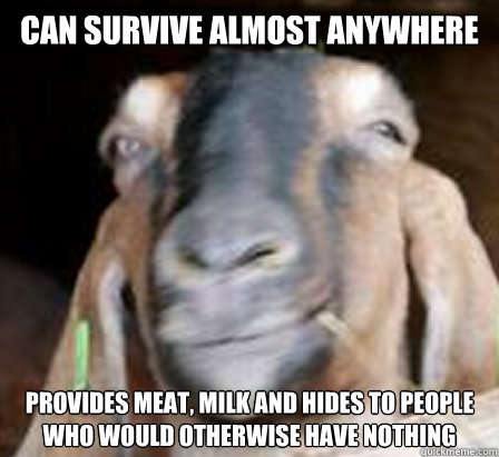 Can survive almost anywhere provides meat, milk and hides to people who would otherwise have nothing  