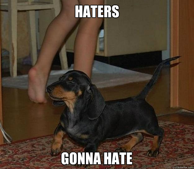 HATERS GONNA HATE  