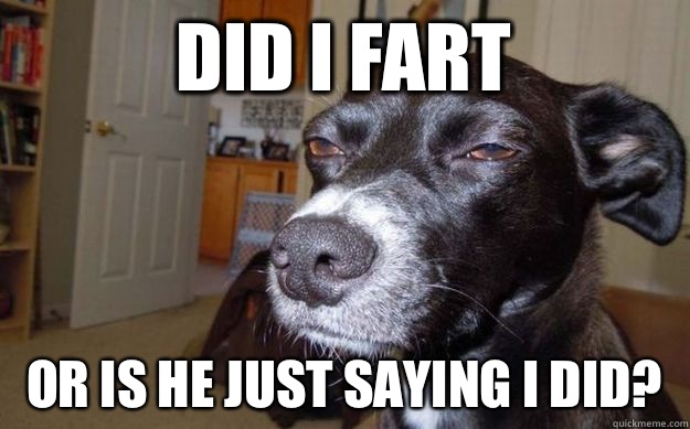 Did I fart Or is he just saying I did?  Skeptical Mutt