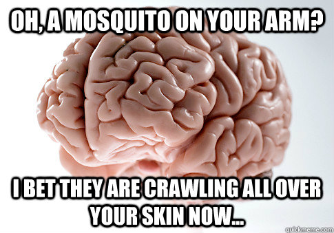 OH, A MOSQUITO ON YOUR ARM? I BET THEY ARE CRAWLING ALL OVER YOUR SKIN NOW...   Scumbag Brain