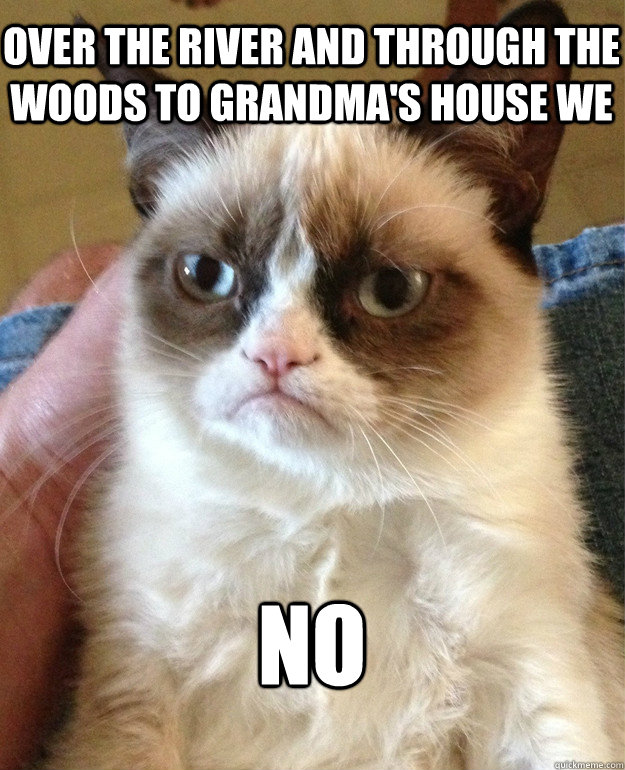 over the river and through the woods to grandma's house we  no  Grumpy Cat