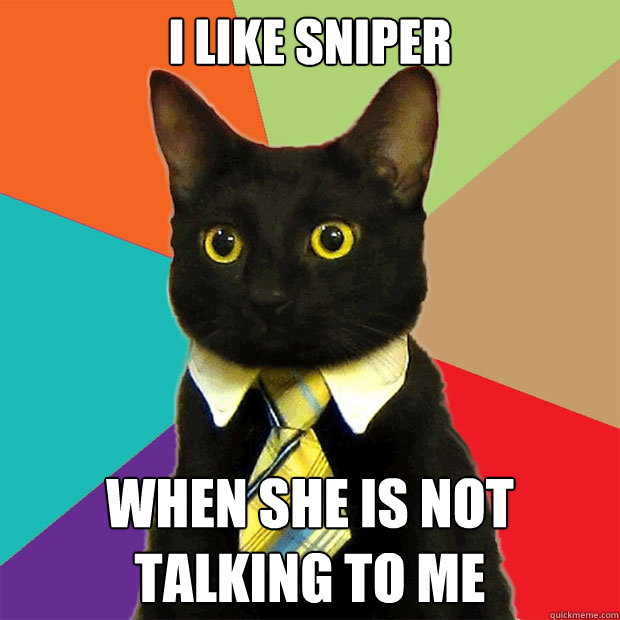 I like Sniper When she is not talking to me  Business Cat