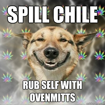 Spill Chile Rub self with ovenmitts - Spill Chile Rub self with ovenmitts  Stoner Dog