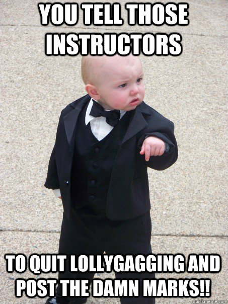 YOU Tell those Instructors To Quit Lollygagging and post the Damn Marks!!  Baby Godfather