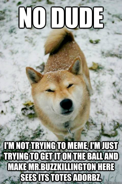 No dude I'm not trying to meme, I'm just trying to get it on the ball and make Mr.Buzzkillington here sees its totes adorbz.  Stoner Dog