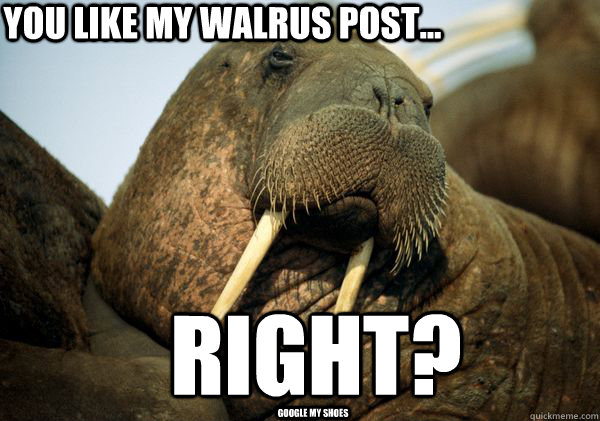 You like my walrus post... Right? google my shoes  - You like my walrus post... Right? google my shoes   Insecure Walrus