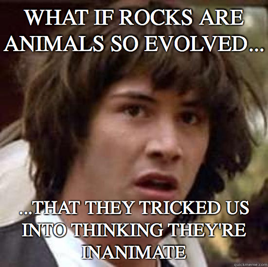 What If rocks are animals so evolved... ...that they tricked us into thinking they're inanimate  conspiracy keanu