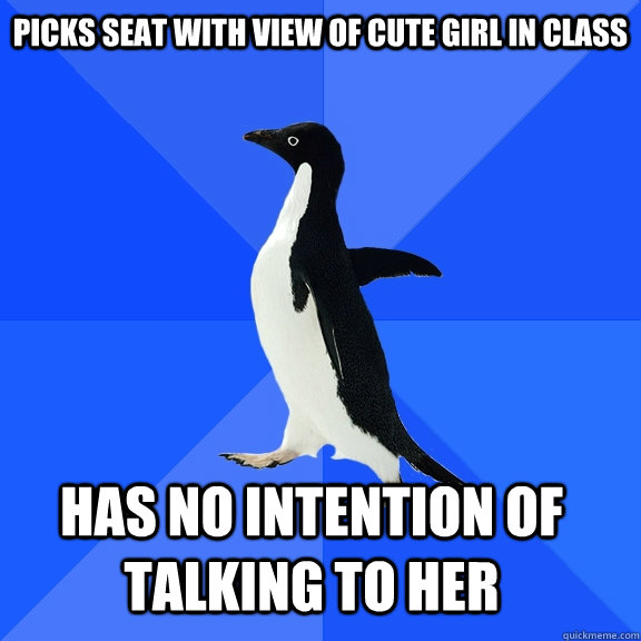 Picks seat with view of cute girl in class Has no intention of talking to her    Socially Awkward Penguin