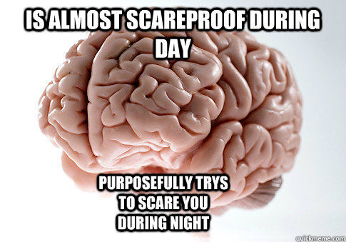 Is almost scareproof during day Purposefully trys to scare you during night  Scumbag Brain