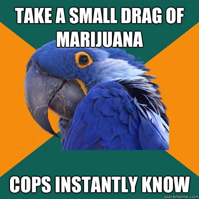 take a small drag of marijuana cops instantly know  Paranoid Parrot