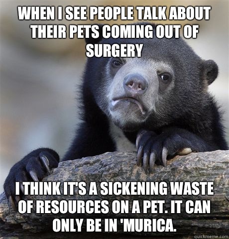 When I see people talk about their pets coming out of surgery I think it's a sickening waste of resources on a pet. It can only be in 'Murica.  - When I see people talk about their pets coming out of surgery I think it's a sickening waste of resources on a pet. It can only be in 'Murica.   Confession Bear