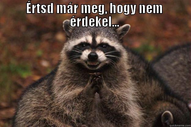 ÉRTSD MÁR MEG, HOGY NEM ÉRDEKEL...  Evil Plotting Raccoon