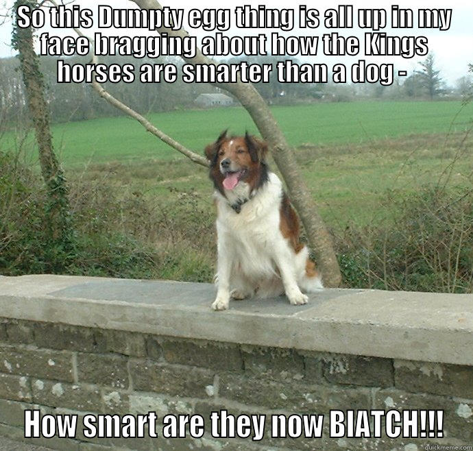 SO THIS DUMPTY EGG THING IS ALL UP IN MY FACE BRAGGING ABOUT HOW THE KINGS HORSES ARE SMARTER THAN A DOG -  HOW SMART ARE THEY NOW BIATCH!!! Misc