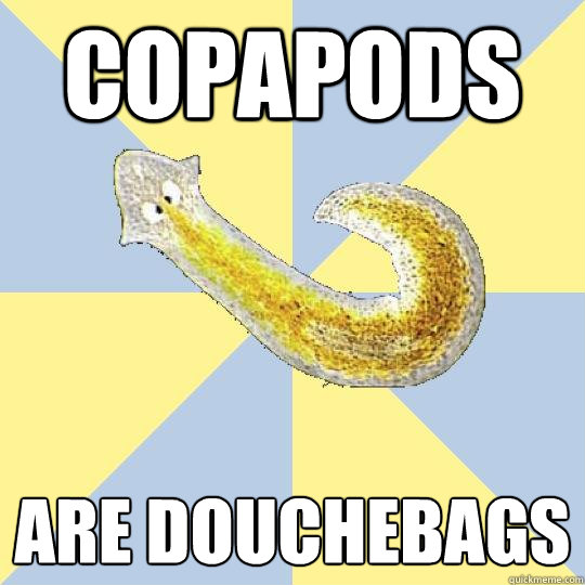 Copapods Are Douchebags  Bio Major Planarian