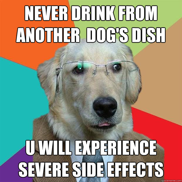 never drink from another  dog's dish u will experience severe side effects  Business Dog