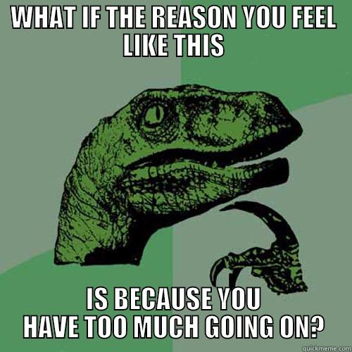 WHAT IF THE REASON YOU FEEL LIKE THIS IS BECAUSE YOU HAVE TOO MUCH GOING ON? Philosoraptor