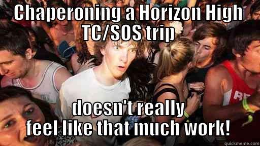 CHAPERONING A HORIZON HIGH TC/SOS TRIP DOESN'T REALLY  FEEL LIKE THAT MUCH WORK!  Sudden Clarity Clarence