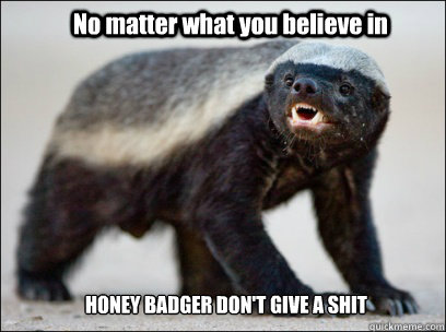 No matter what you believe in HONEY BADGER DON'T GIVE A SHIT  