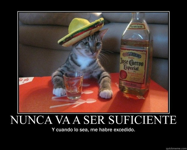    Tequila cat - inspirational