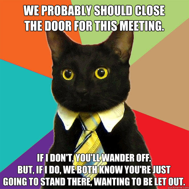 We probably should close
the door for this meeting. If I don't, you'll wander off.
But, if I do, we both know you're just
going to stand there, wanting to be let out. - We probably should close
the door for this meeting. If I don't, you'll wander off.
But, if I do, we both know you're just
going to stand there, wanting to be let out.  Business Cat