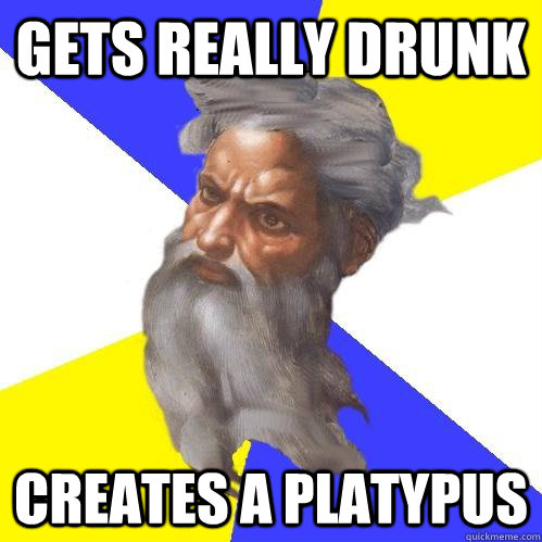 Gets really drunk creates a platypus - Gets really drunk creates a platypus  Advice God