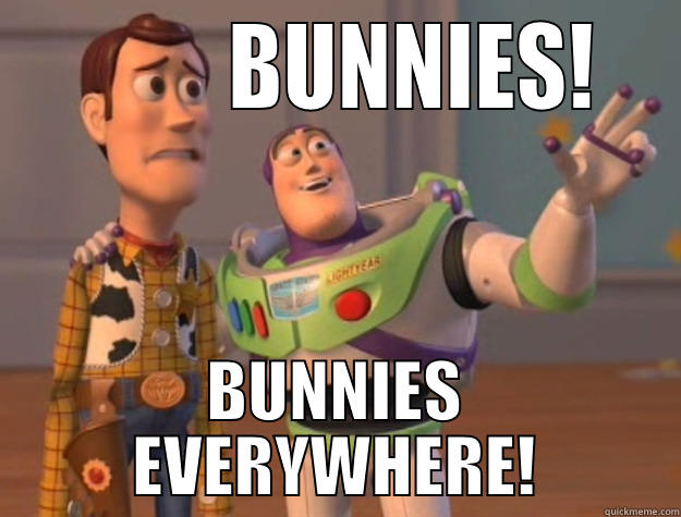            BUNNIES!   BUNNIES EVERYWHERE! Toy Story