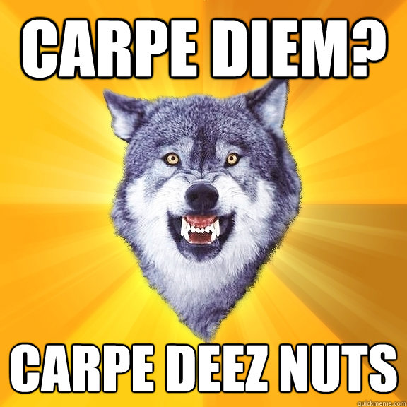 Carpe diem? carpe deez nuts  Courage Wolf