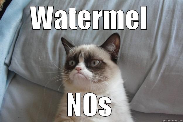 Oh Grand Rapids... - WATERMEL NOS Grumpy Cat