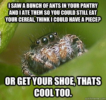 I saw a bunch of ants in your pantry and I ate them so you could still eat your cereal, think I could have a piece? Or get your shoe, thats cool too. - I saw a bunch of ants in your pantry and I ate them so you could still eat your cereal, think I could have a piece? Or get your shoe, thats cool too.  Misunderstood Spider