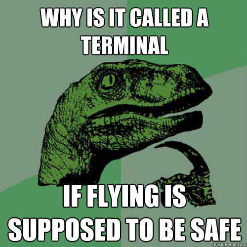 Why is it called a terminal if flying is supposed to be safe - Why is it called a terminal if flying is supposed to be safe  Philosoraptor