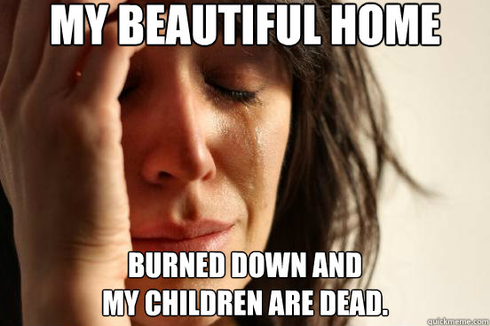 my beautiful home burned down and 
my children are dead.  First World Problems