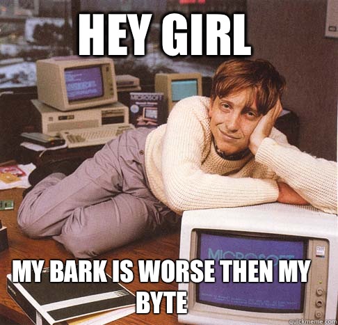 HEY GIRL MY BARK IS WORSE THEN MY BYTE  Dreamy Bill Gates