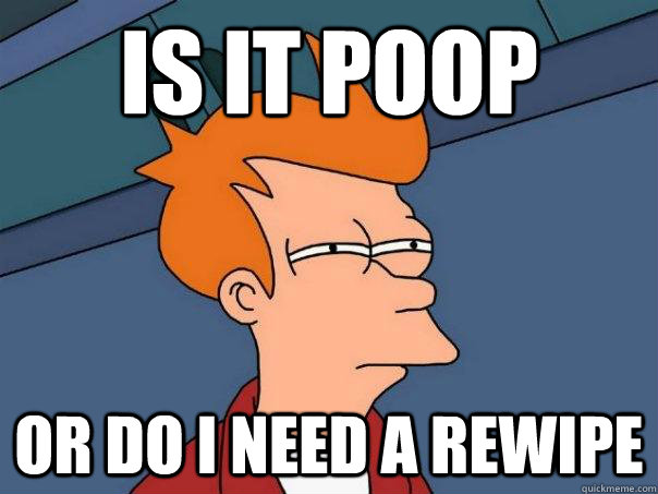 IS IT POOP OR DO I NEED A REWIPE  Futurama Fry