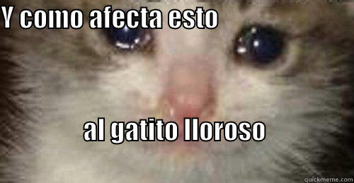 gatito lloroso - Y COMO AFECTA ESTO                                                                        AL GATITO LLOROSO                                                                 Misc