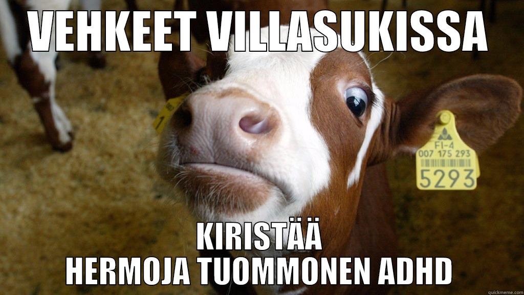 VASIKOIVA VASIKKA - VEHKEET VILLASUKISSA KIRISTÄÄ HERMOJA TUOMMONEN ADHD Success Kid