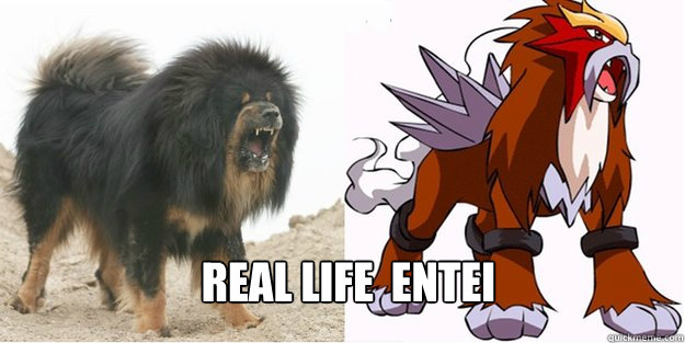 REAL LIFE  ENTEI - REAL LIFE  ENTEI  Real Life Entei