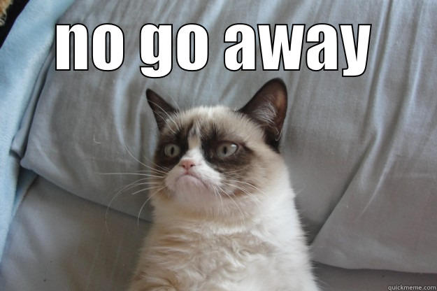 NO GO AWAY  Grumpy Cat