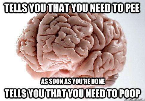 Tells you that you need to pee Tells you that you need to poop As soon as you're done - Tells you that you need to pee Tells you that you need to poop As soon as you're done  Scumbag Brain