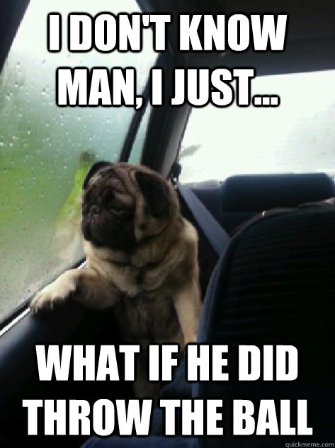 I don't know man, I just... What if he did throw the ball  Introspective Pug