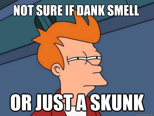 Not sure if dank smell or just a skunk - Not sure if dank smell or just a skunk  Futurama Fry