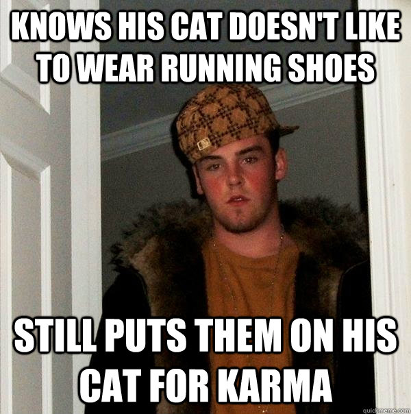 Knows his cat doesn't like to wear running shoes Still puts them on his cat for karma  Scumbag Steve