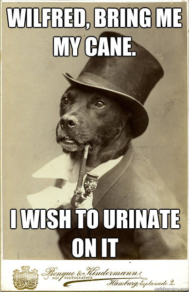 Wilfred, bring me my cane. I wish to urinate on it  Old Money Dog