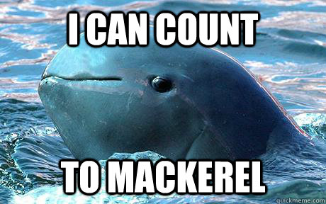 I CAN COUNT TO Mackerel  Irrawaddy Dolphin