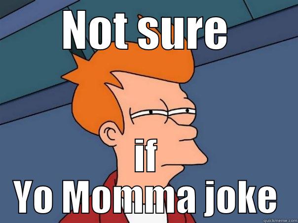 Not sure if Yo Momma joke - NOT SURE IF YO MOMMA JOKE Futurama Fry