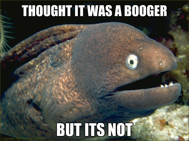 Thought it was a booger  But its not  Bad Joke Eel