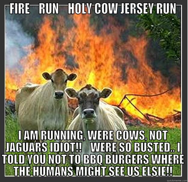 FIRE    RUN    HOLY COW JERSEY RUN I AM RUNNING, WERE COWS, NOT JAGUARS IDIOT!!    WERE SO BUSTED.. I TOLD YOU NOT TO BBQ BURGERS WHERE THE HUMANS MIGHT SEE US ELSIE!! Evil cows